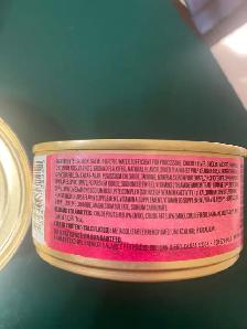 40 cans quality cat food $40 bought at G&E
