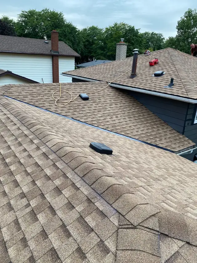 Professional Roofing Services