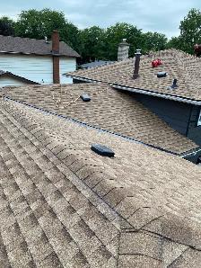 Professional Roofing Services