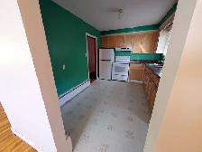 1200 sq.ft. 3 Bedroom Apartment for Rent