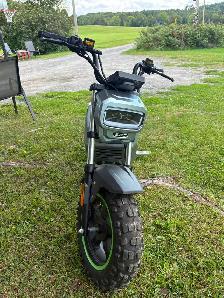 2026 NEW EGO ELECTRIC MINI BIKE WITH COVER AND BATTERY CHARGER - Photo 10