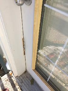 selling Threshold Seal, weather stripping,we will fix an old or - Photo 5