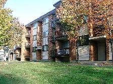 5 1/2 ENSOLEILLÉE  / PISCINE EXTERIEUR - Photo 3