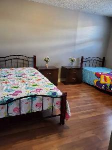 Female Only – Shared  &  Private Basement Room, Malton - Photo 4