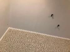 "selling"- baseboards, trims, mouldings $1.0 per foot 3.5'x1/2'. - Photo 6