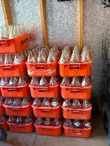 Vintage pic a pop bottles