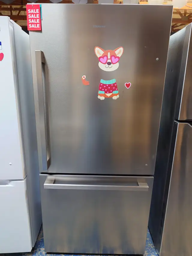 HiSense '31' Stainless Steel Bottom Freezer Top Fridge on Sale‼️
