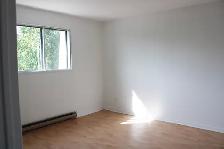 Appartement 4 1/5 a louer a Ste-Thérèse - Photo 5