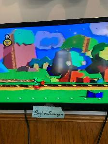 Yoshi’s Story - Photo 5
