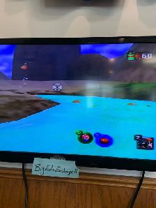 Pokemon Snap - Photo 5