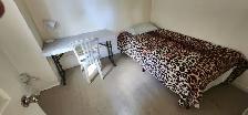 Rooms for rent near Jarvis/Dundas, TMU, Eaton Centre