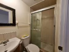 3rd Flr Large Room Private Bath Balcony Parking @York University - Photo 6