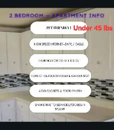 2 BEDROOM APARTMENT(1YR-LEASE) FOR RENT IN BEAUTIFUL ST-ANTOINE! - Photo 9