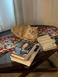 Romeo needs a new home - Photo 3