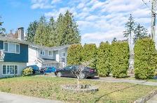 port Coquitlam 3Bed 1Bath Garden Suite Basement $2,500/month - Photo 8