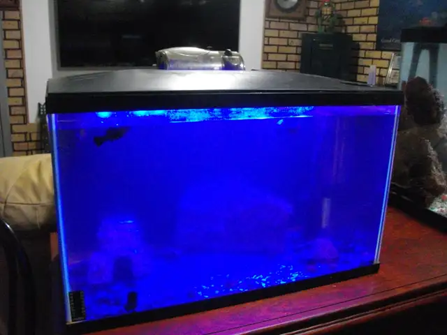 5 gal. aquarium with light lid filter and fish