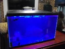 5 gal. aquarium with light lid filter and fish