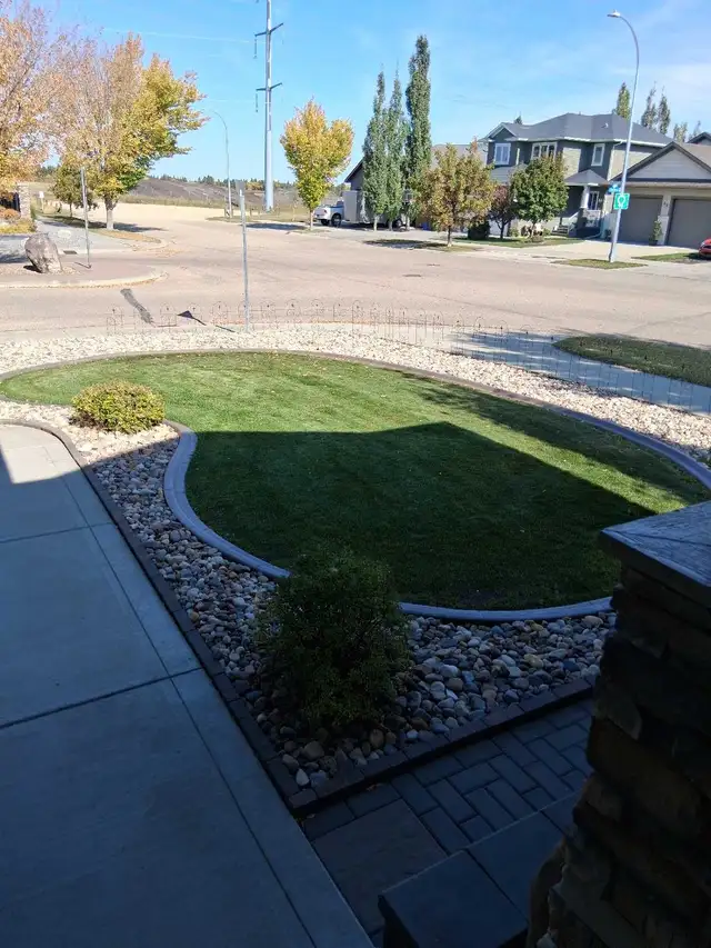 home & garden