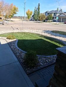 home & garden