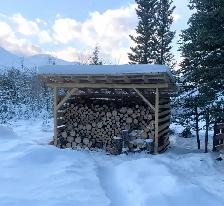 Woodshed / Shed / garage - Photo 4