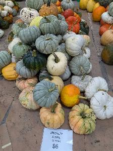 Pumpkins near Niverville - Photo 4