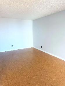 All-Incl. 1 Bed Condo, 20th Floor, Balcony   River View - $1,400 - Photo 2