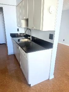 All-Incl. 1 Bed Condo, 20th Floor, Balcony   River View - $1,400 - Photo 3