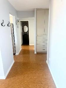 All-Incl. 1 Bed Condo, 20th Floor, Balcony   River View - $1,400 - Photo 8