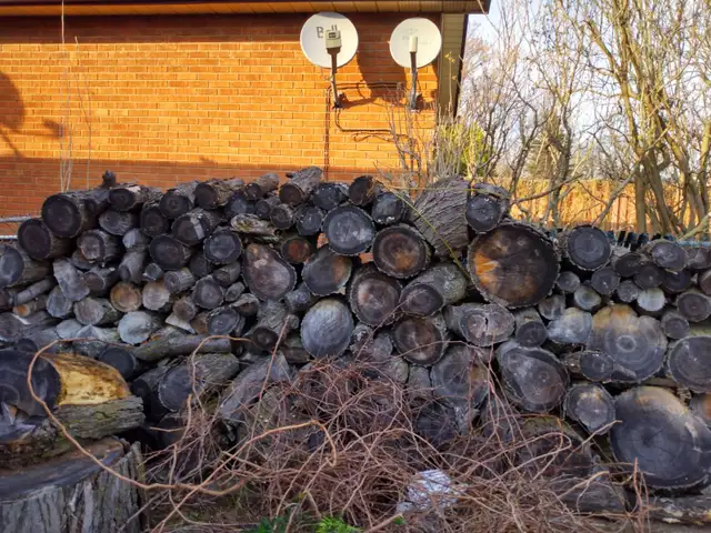 FIREWOOD (HONEY LOCUST)