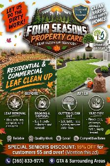 PROFESSIONAL LEAF CLEANUP — GTA & SURROUNDING AREAS