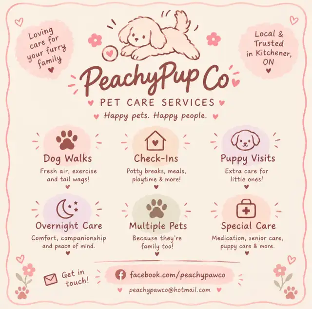 Pet Sitting / Check Ins