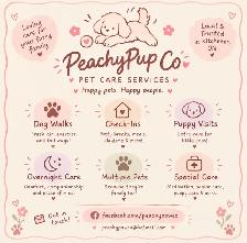 Pet Sitting / Check Ins