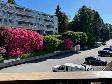 Stunning Top Floor South Facing Studio! - Photo 2
