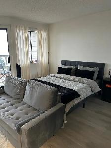 Stunning Top Floor South Facing Studio! - Photo 3