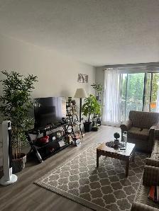 Spacious 1 Bedroom Apartment - Photo 2