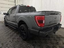 2023 Ford F-150 | XLT 302A SPORT | BLACK APPEARANCE - Photo 12