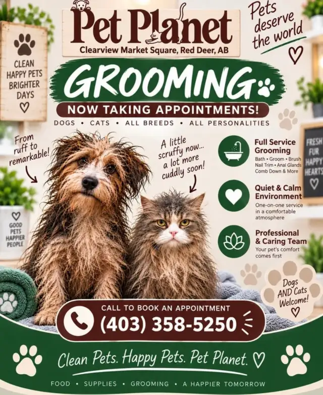 Dog Grooming Availbility