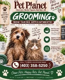 Dog Grooming Availbility