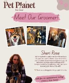 Dog Grooming Availbility - Photo 2