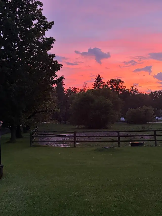 Newmarket Horse Farm looking for weekday morning help