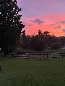 Newmarket Horse Farm looking for weekday morning help
