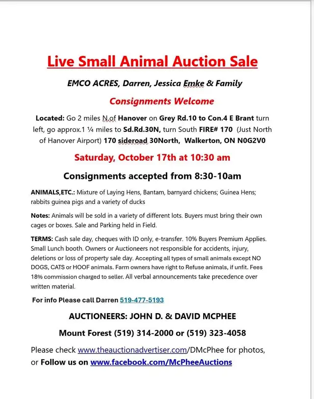 Live Small Animal Auction