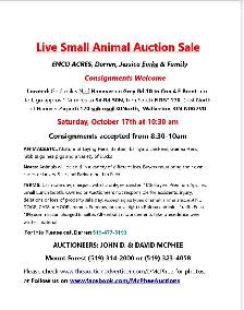 Live Small Animal Auction