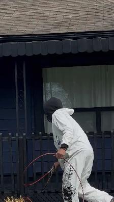 exterior painting. - Photo 2