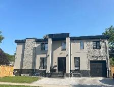 basement for rent