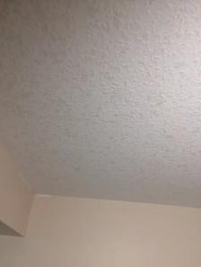 Reduced price for Ceiling texturing supply/install Best deal for - Photo 8