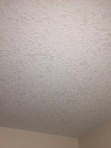 Reduced price for Ceiling texturing supply/install Best deal for - Photo 9