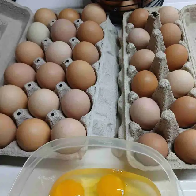 farm fresh eggs