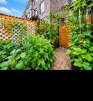 Large 3 Bed 4 Baths Townhouse for Rent Near 400 / Major Mackenzi - Photo 15