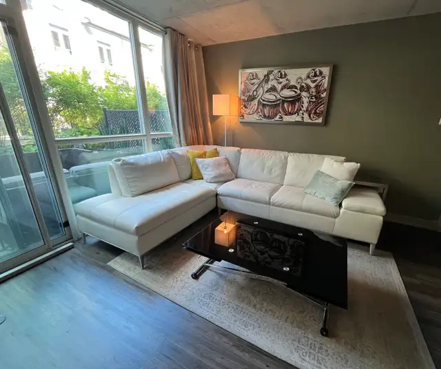 coffee and dining table(goes up and down)